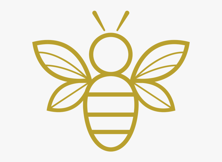 Coffee Bean - Desenho De Um Cupim, Transparent Clipart