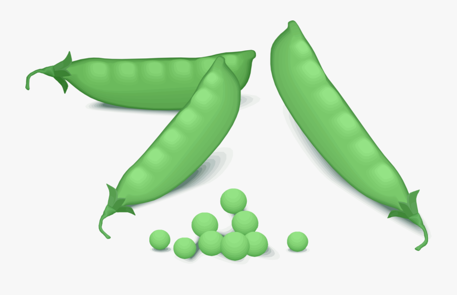 Medium Image Png - Green Peas Clipart, Transparent Clipart