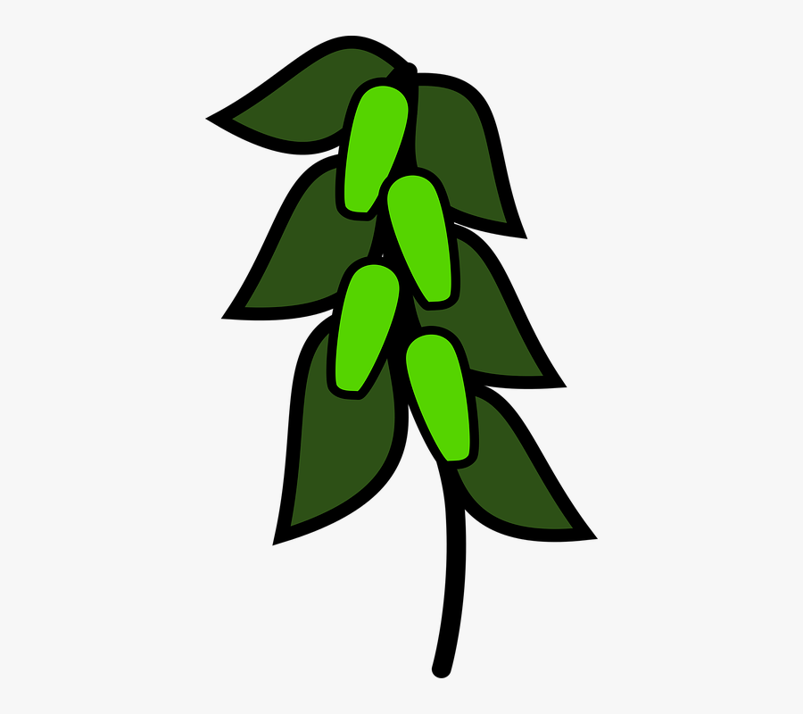 Transparent Peas Clipart, Transparent Clipart