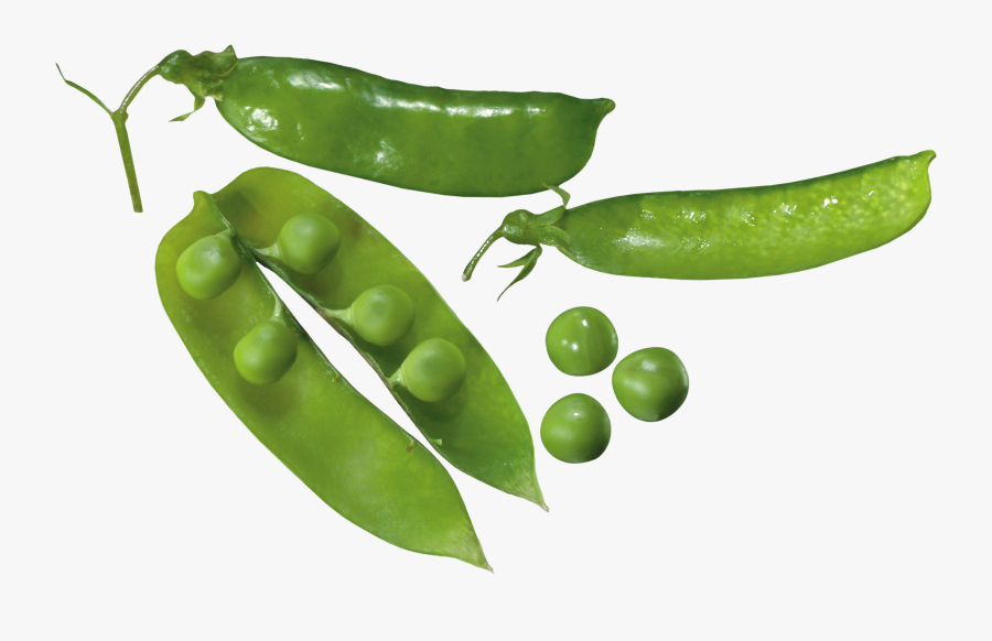 Pea Png - Transparent Background Pea Plant Png, Transparent Clipart
