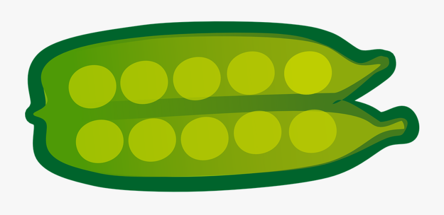 Green, Peas, Pods, Open, Legumes, Lentils, Vegetables - Vegetable, Transparent Clipart