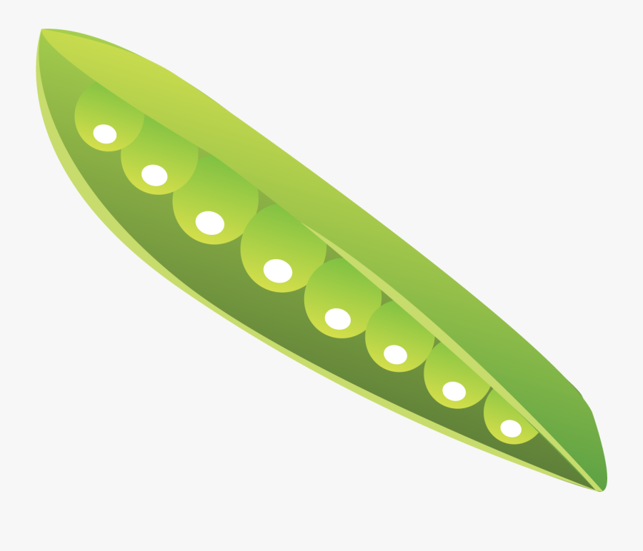 蚕豆 图片, Transparent Clipart