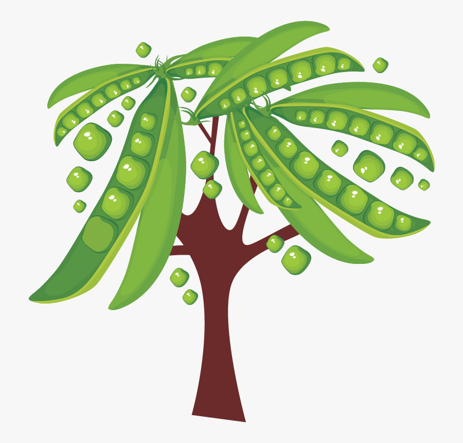 Soybean Plant Png, Transparent Clipart