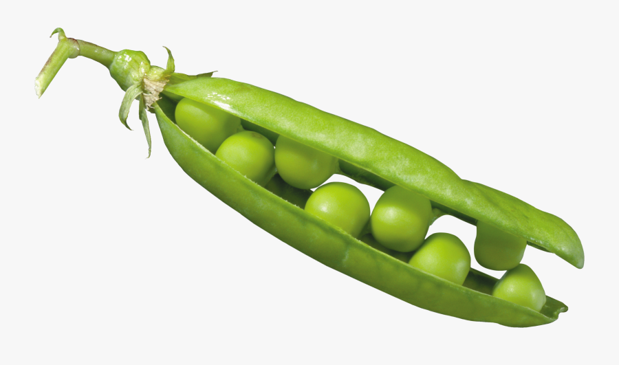 Горох Пнг, Transparent Clipart