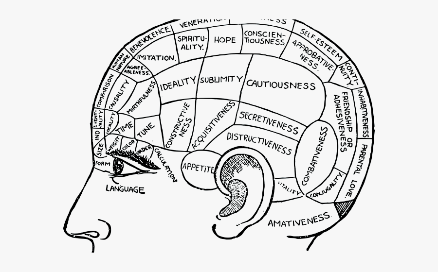 Drawing Of A Depressed Brain, Transparent Clipart