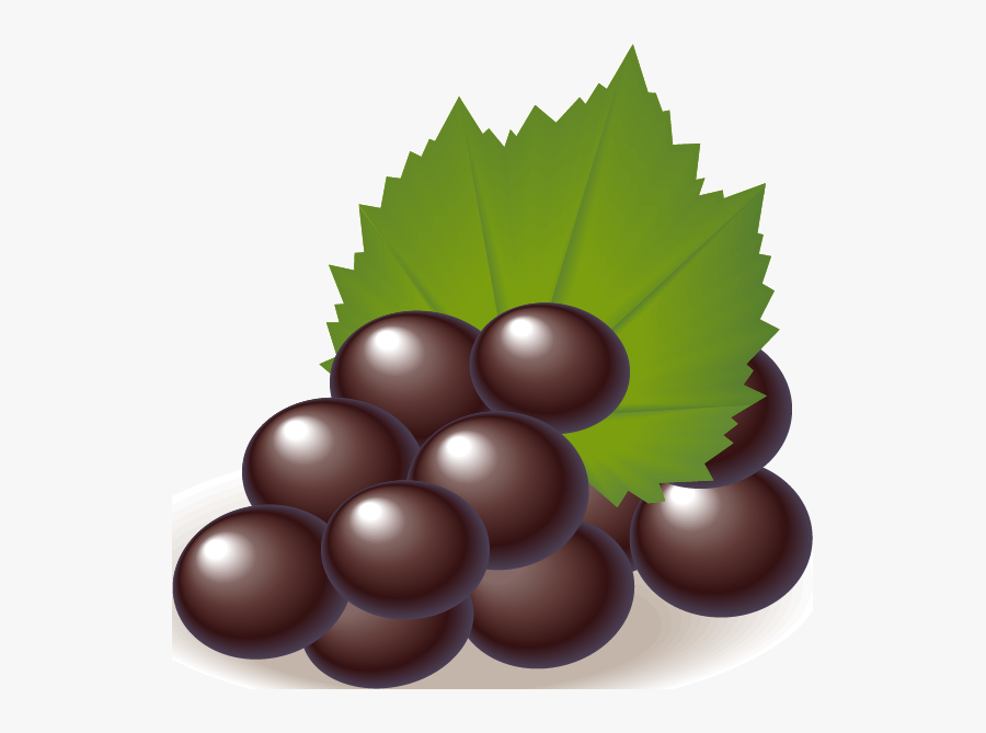 Fruits Vector Free Download, Transparent Clipart