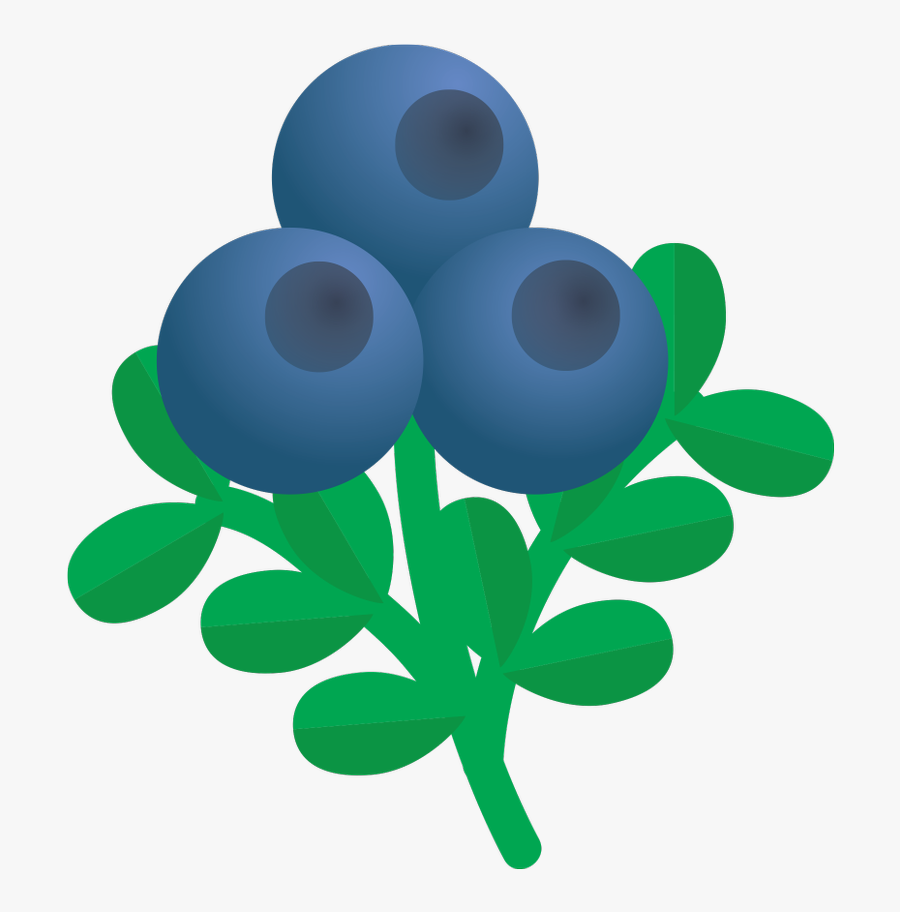 Circle, Transparent Clipart