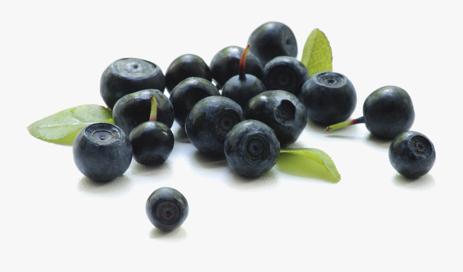 Blueberry Transparent Background - Acaí Berry, Transparent Clipart