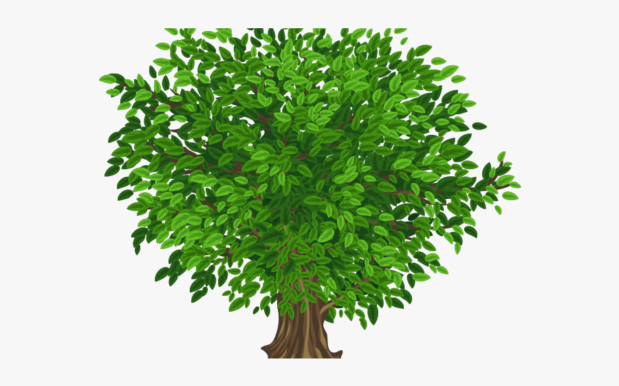 Featured image of post Tree Picture Without Background / Cut out trees without halos or fringes in photoshop!