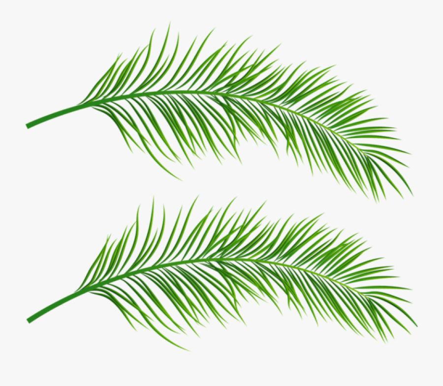 Palm Leaves Clipart Transparent, Transparent Clipart
