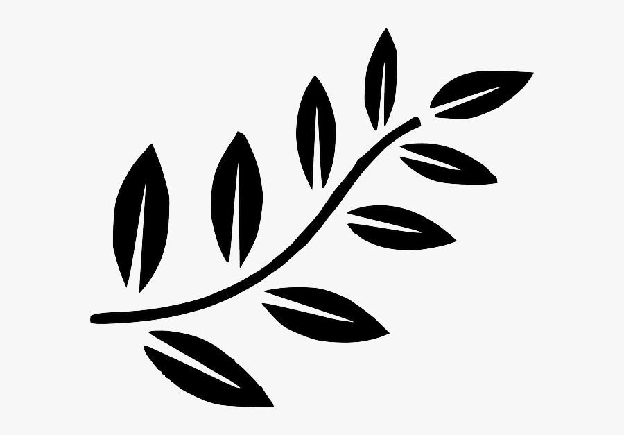 Fern, Leaves, Green, Palm, Tree, Branches, Branch - Olive Branch Silhouette Png, Transparent Clipart