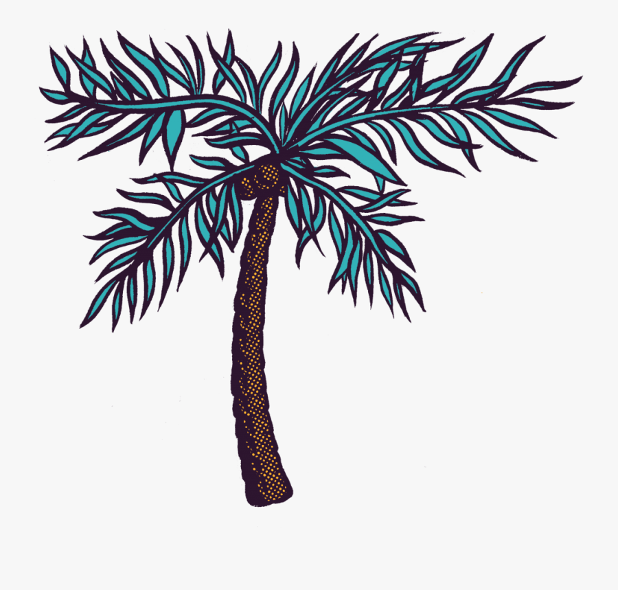 Environment - Attalea Speciosa, Transparent Clipart