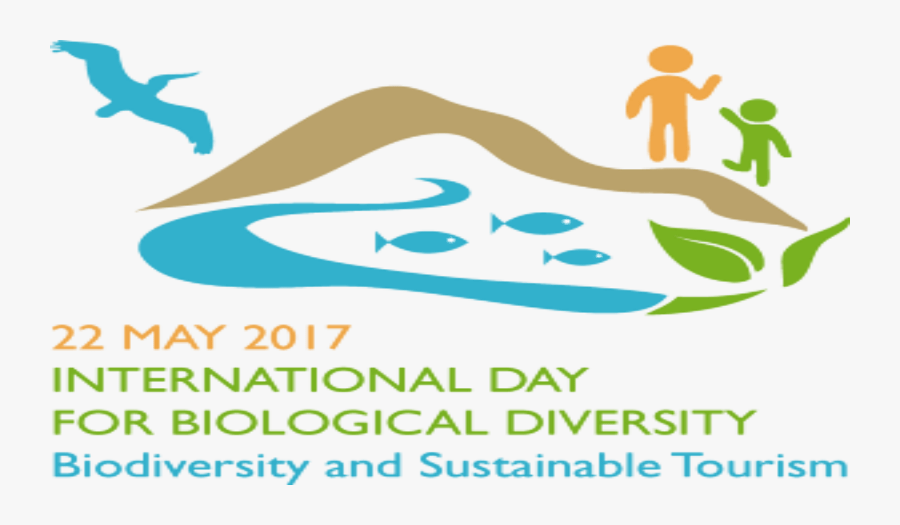 Idb, 22nd May Worlds Biodiversity Day - International Day For Biological Diversity, Transparent Clipart