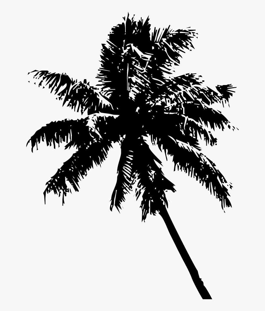 Attalea Speciosa, Transparent Clipart