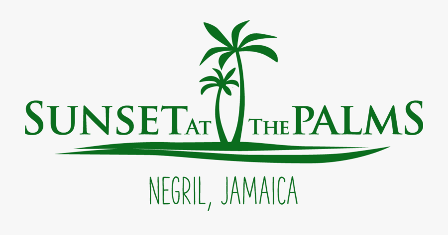 Graphic Design, Transparent Clipart