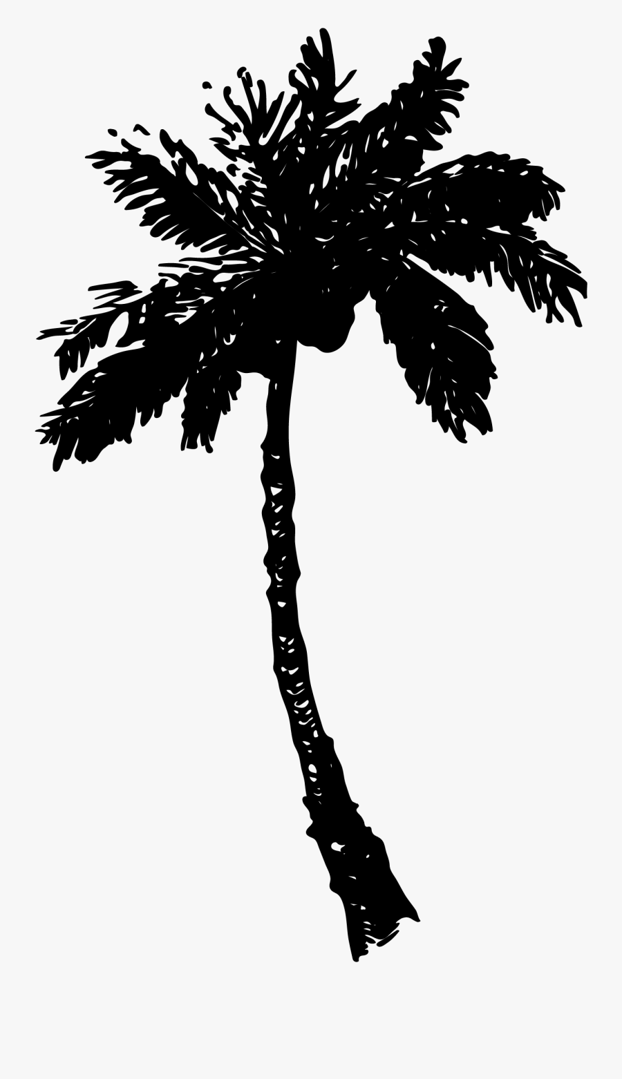 Spring Break Designs, Transparent Clipart