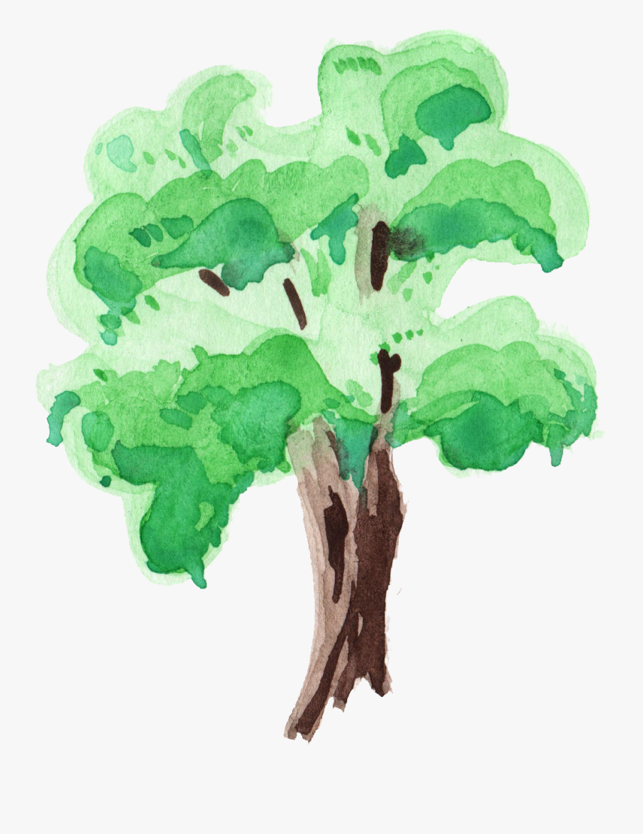 Tree Png Transparent - Post Oak, Transparent Clipart