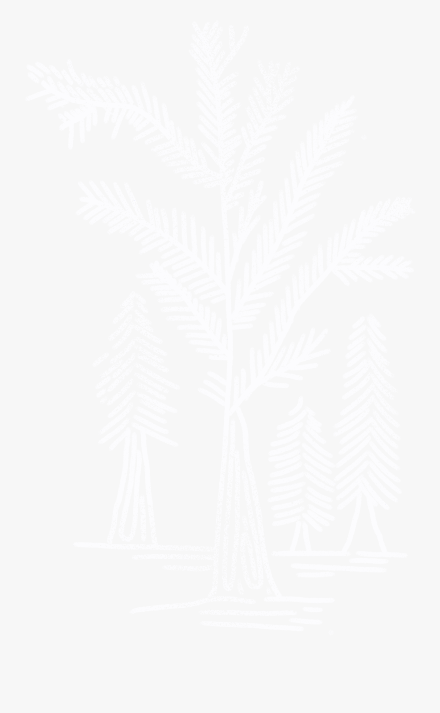 Plaza De Magdalena Wedding San Juan Capistrano - Fern, Transparent Clipart