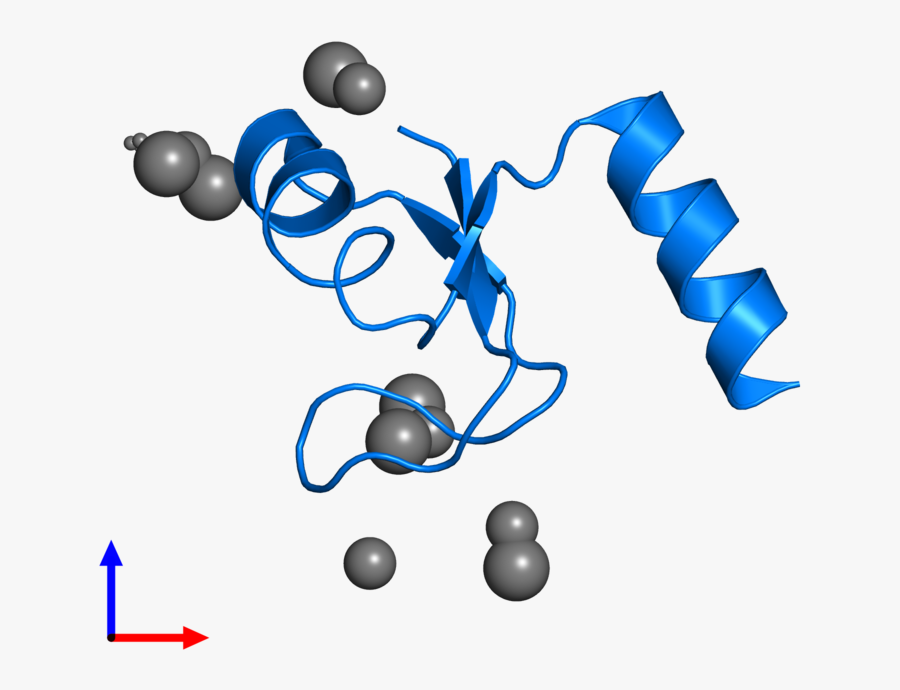 Graphic Design, Transparent Clipart