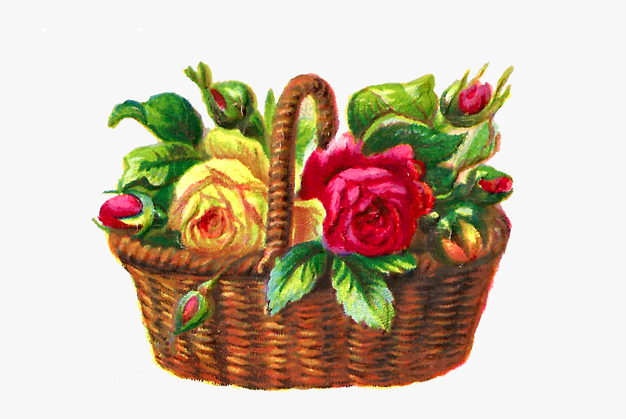 Flower Rose Illustration Basket Digital - Garden Roses, Transparent Clipart
