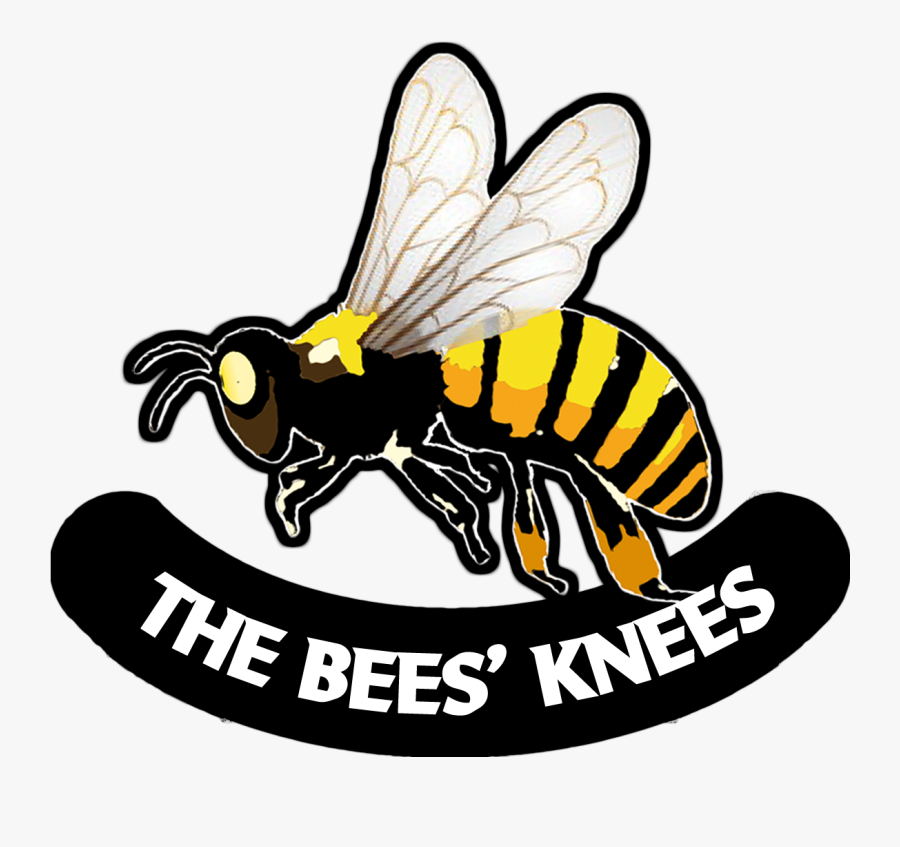 Flirtbees чат. Flirtbees чат