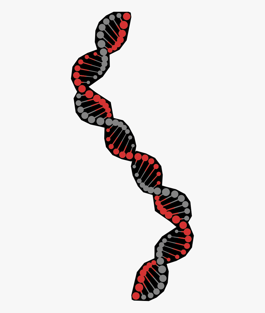 Flexibility Clipart , Png Download, Transparent Clipart