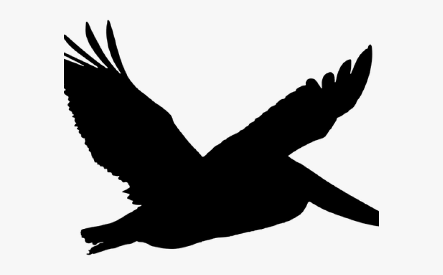Transparent Dove Clipart Png - Pelican Silhouette Png, Transparent Clipart