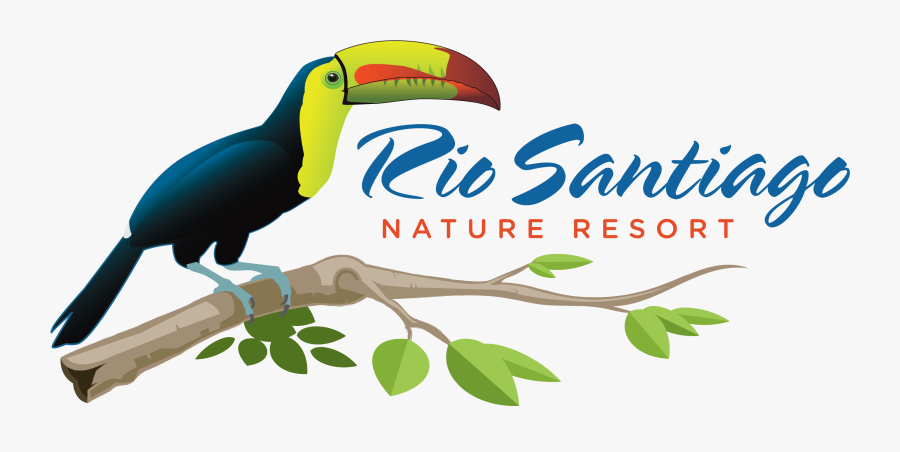 Bird Watching Clipart - Botswana Tourism Board, Transparent Clipart