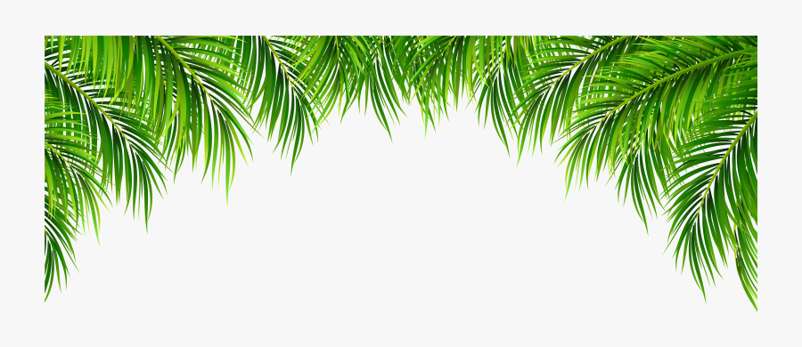 Tree Leaves Png - Transparent Background Palm Leaves, Transparent Clipart