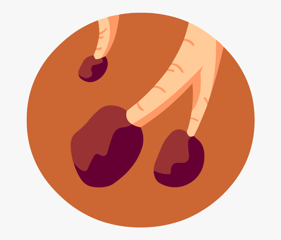 Interactive Game Respiratory System, Transparent Clipart