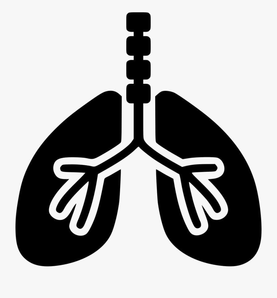Respiratory System Svg Png - Lungs In Green Colour, Transparent Clipart