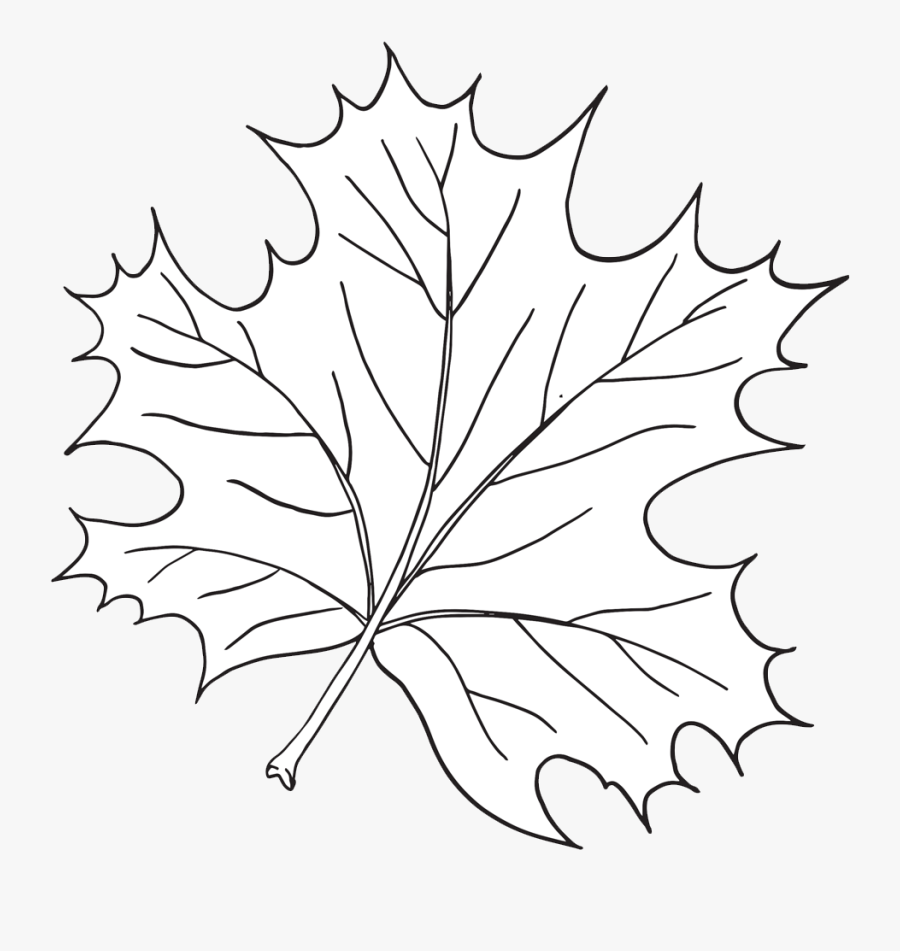 Maple Leaf, Transparent Clipart