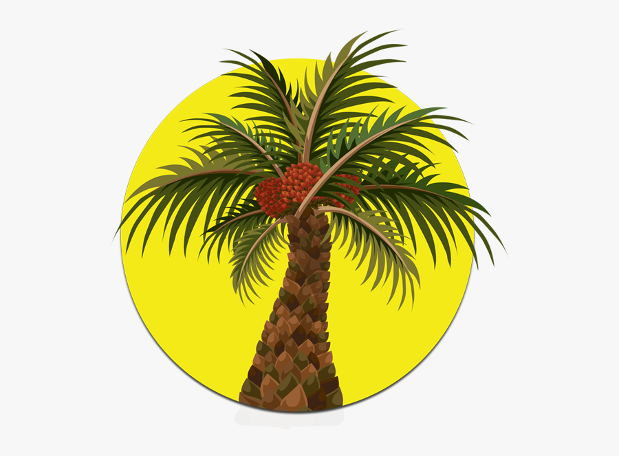 Coconut Clipart Pokok Kelapa - African Palm Oil Png, Transparent Clipart