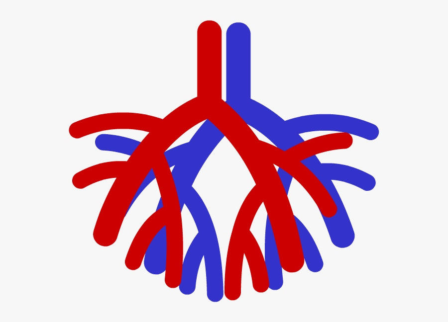 Circulatory System Symbol, Transparent Clipart