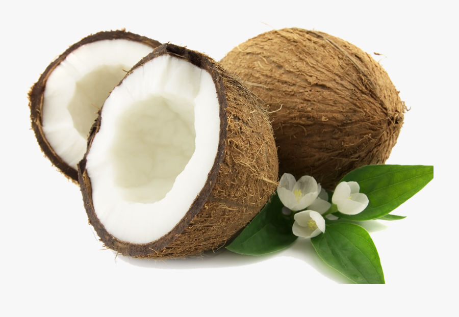 Coconut Png, Transparent Clipart