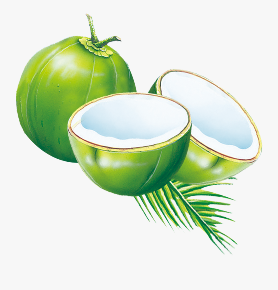 Coconut Water Muda Es Cyan Milk Kelapa Clipart - Coconut Clipart, Transparent Clipart