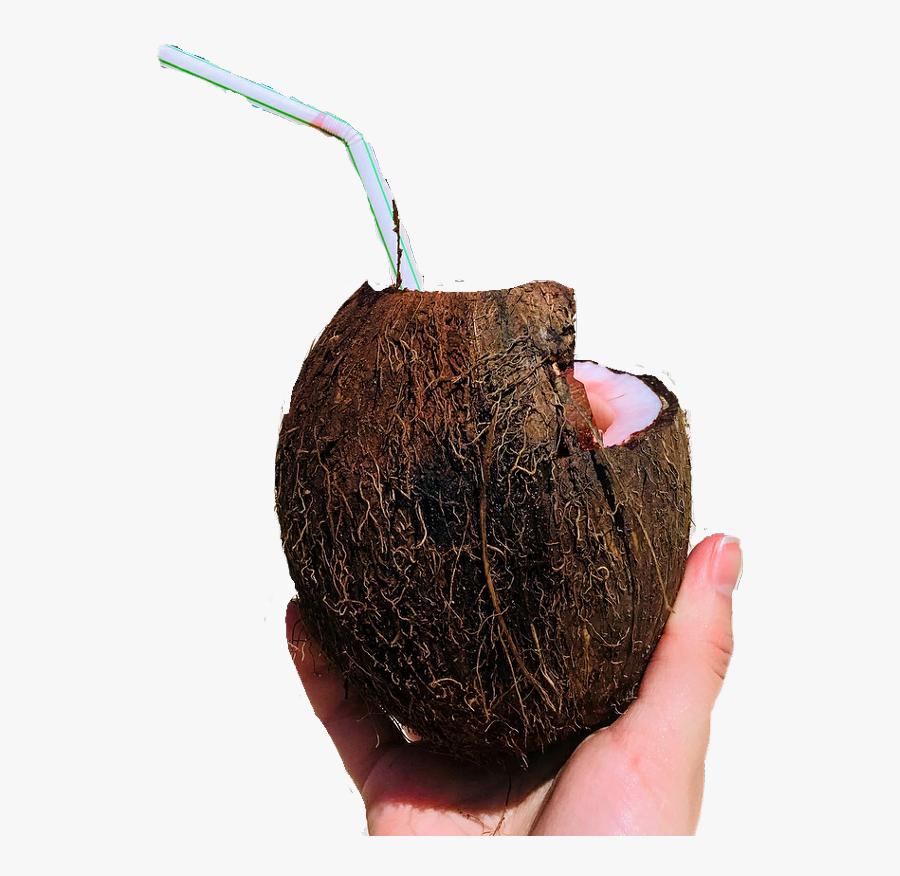 #coconut #drink #challengesticker - Avocado, Transparent Clipart