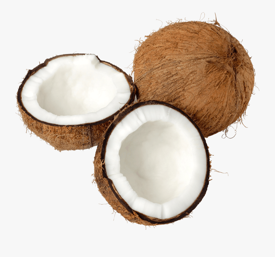 Png Free Transparent Coconut - Transparent Background Coconut Png, Transparent Clipart