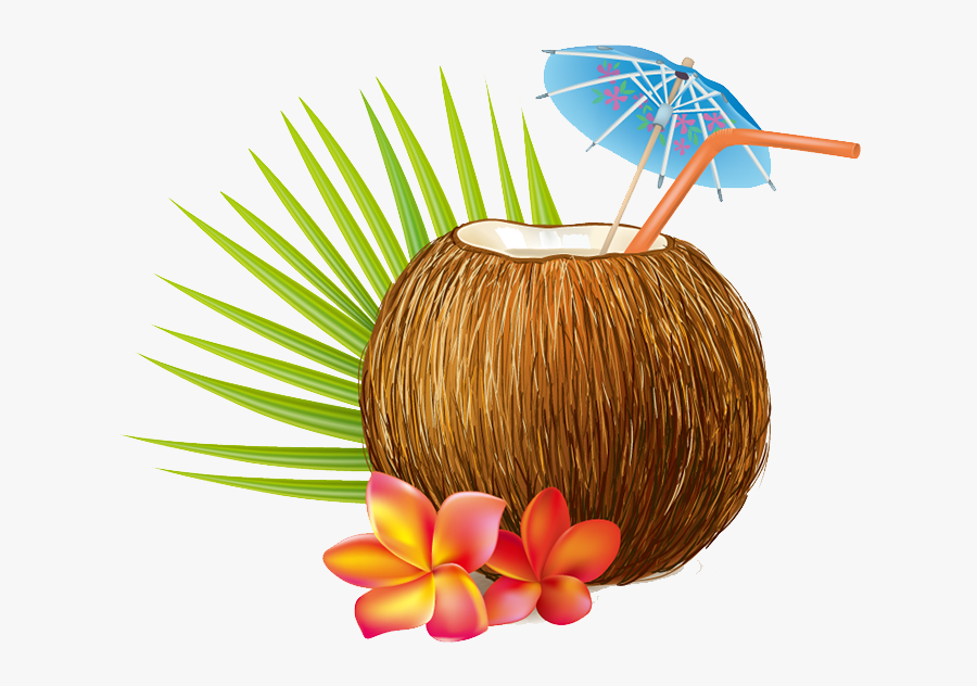 Coconut Drink Vector, Transparent Clipart