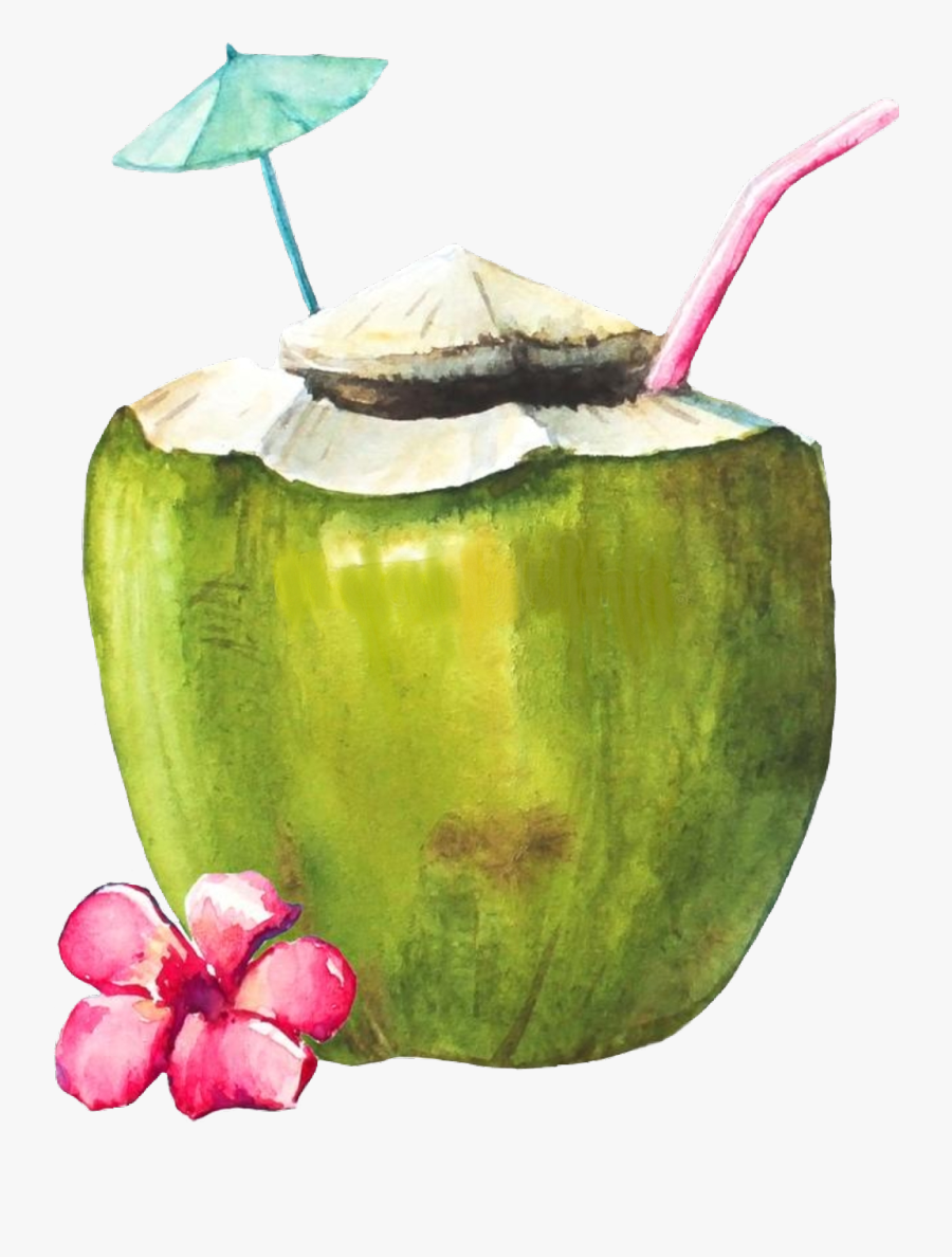 #coconut #coconutdrink #scbeachessentials #beachessentials - Green Coconut With Straw Painting, Transparent Clipart