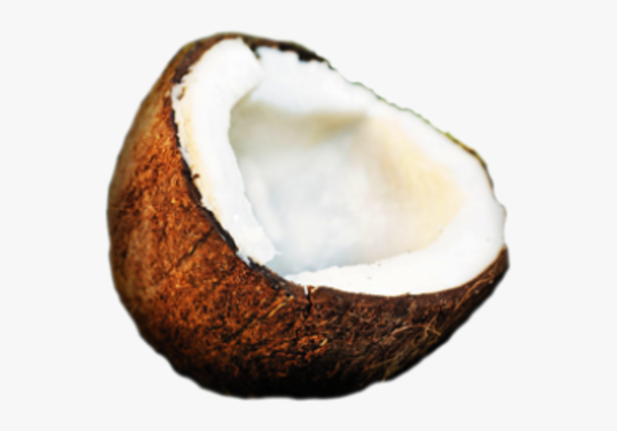 Coconut Icon Images Vector Clipart - Coconut Ico, Transparent Clipart