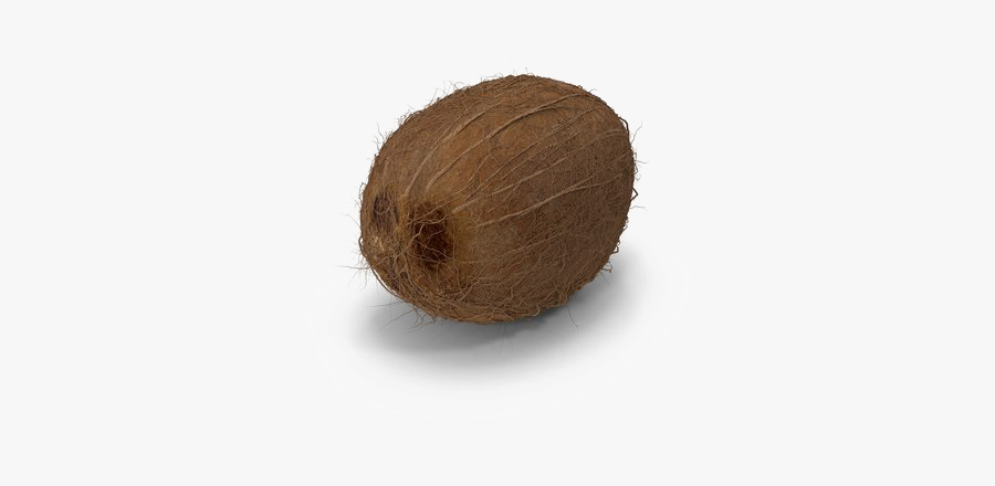 Coconut Png Image Hd - Wood, Transparent Clipart