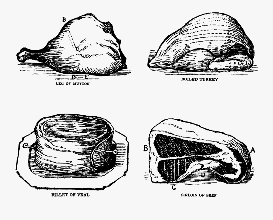 Meat Turkey Veal Mutton Beef Illustrations Collage - Sketch, Transparent Clipart