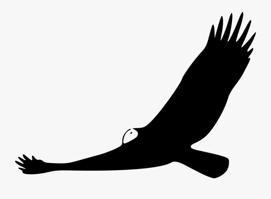 Vulture Clip Art, Transparent Clipart