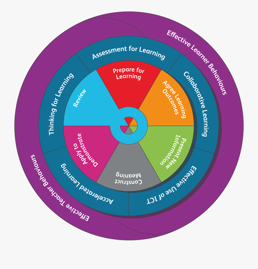 Plain T Shirts, Transparent Clipart