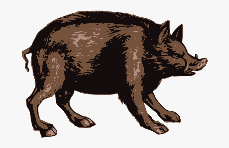 Brown Boar - Punxsutawney Phil, Transparent Clipart