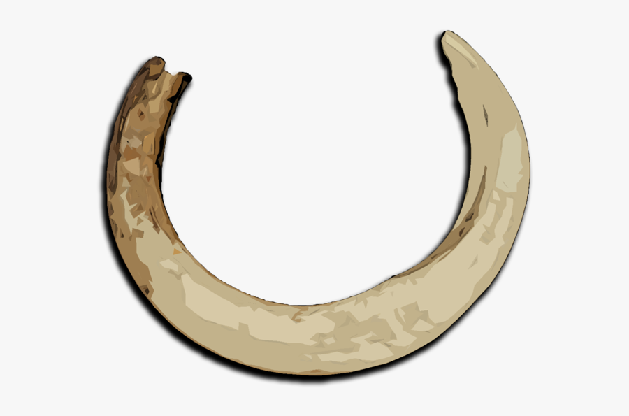 Boar Tusk Png Clipart , Png Download - Warthog Tusks Transparent Background, Transparent Clipart
