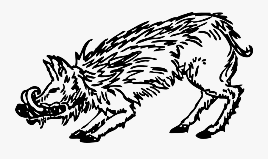 Boar, Warthog, Mammal, Animal, Wild, Pig, Wildlife - Harry Potter Textbook Pages, Transparent Clipart