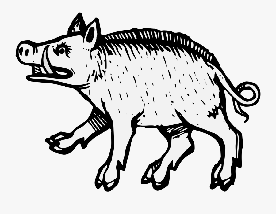 Illustration, Transparent Clipart