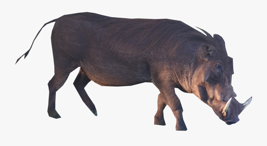 Brown Boar Standing Png Image - Cattle, Transparent Clipart